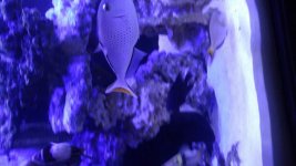 20160408_165542_resized.jpg