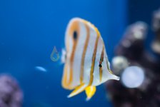 DSC_0042.jpg