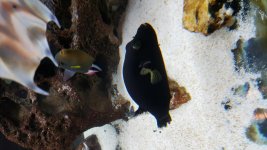 20160211_170042.jpg