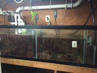 ImageUploadedByReefs2015-09-11 10:09:06 EDT.jpg