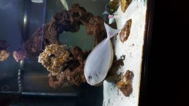 20160211_170213.jpg