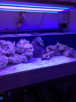 IMG_6027.JPG