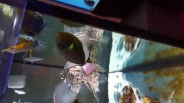20160211_165917.jpg