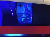 IMG_0132.jpg