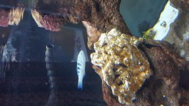 20160211_170927.jpg
