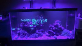 IMG_0737.jpg