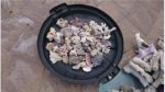 Pic7.jpg