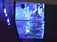 IMG_1503.jpg