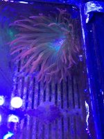 IMG_0226.jpg