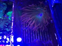 IMG_0227.jpg