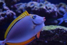 105 (1024x683)-1.jpg