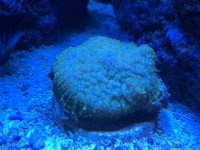 IMG_0586.JPG