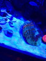 IMG_0047.jpg