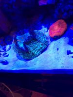 IMG_0048.jpg