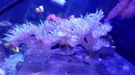 20160624_201632.jpg