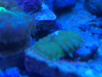 IMG_0588.JPG