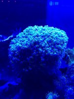 IMG_0194.jpg