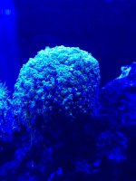 IMG_0195.jpg