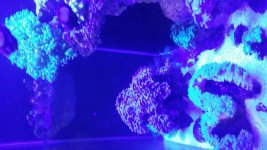 20150911_170336.jpg