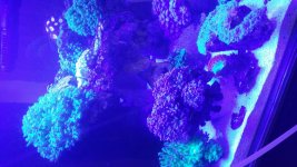 20150911_170352.jpg