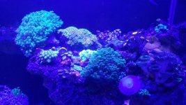 20150911_170359.jpg