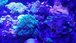20150911_170417.jpg