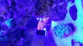 20150911_170422.jpg