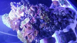 20150911_170428.jpg