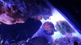 20150911_170435.jpg