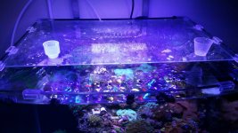 20150911_170455.jpg