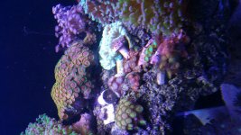 20150911_170550.jpg