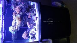 20150911_170735.jpg