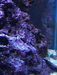 IMG_3937.jpg
