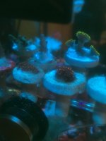 IMG_5902.jpg