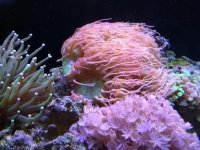 IMG_20160411_215046.jpg
