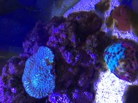 IMG_4022.JPG