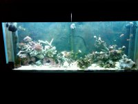 IMG00037-20100821-1257.JPG