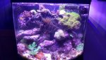 20151220_124802.jpg