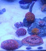IMG_8468.jpg
