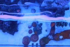 IMG_8470.JPG