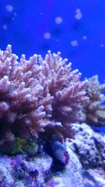 20150710_113156.jpg