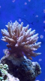 20150710_112948.jpg