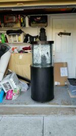 ImageUploadedByReefs2016-01-03 12:04:44 EST.jpg