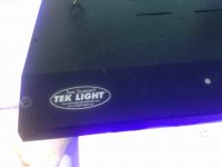 ImageUploadedByReefs2016-01-03 12:48:38 EST.jpg