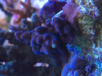 IMG_2499.jpg