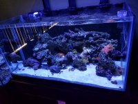 20160414_103625.jpg