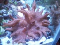 20150913_164539.jpg