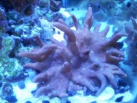 20150913_164519.jpg