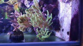 20160103_161112.jpg