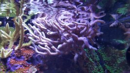 20160103_161124.jpg
